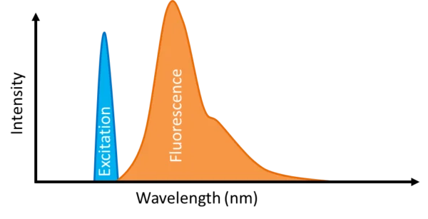 FluorescenceSpectra