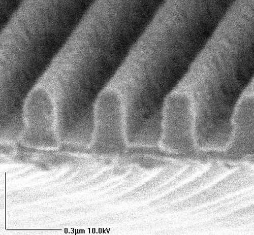 Grating SEM, Photoresist on Si, 350 nm period